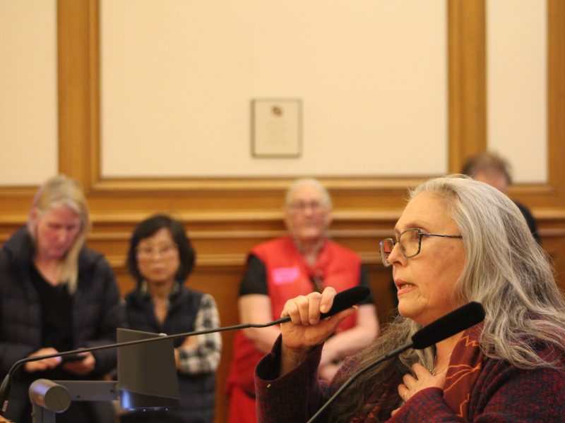 Mary Travis-Allen speaks in support of the Mission Action Plan 2030 during a Planning Commission meeting on Thursday Dec. 5, 2024. Photo by Oscar Palma.