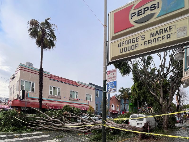 Fallen tree onto a building and car near George's Market. Yellow caution tape and overcast sky in the background.