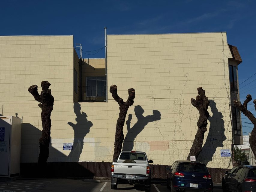Tree trunks cast shadows resembling human figures boxing against a building wall in a parking lot.