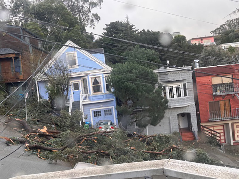 A fierce storm has left fallen trees blocking a residential street, with houses on both sides shrouded in darkness due to downed power lines and scattered debris.