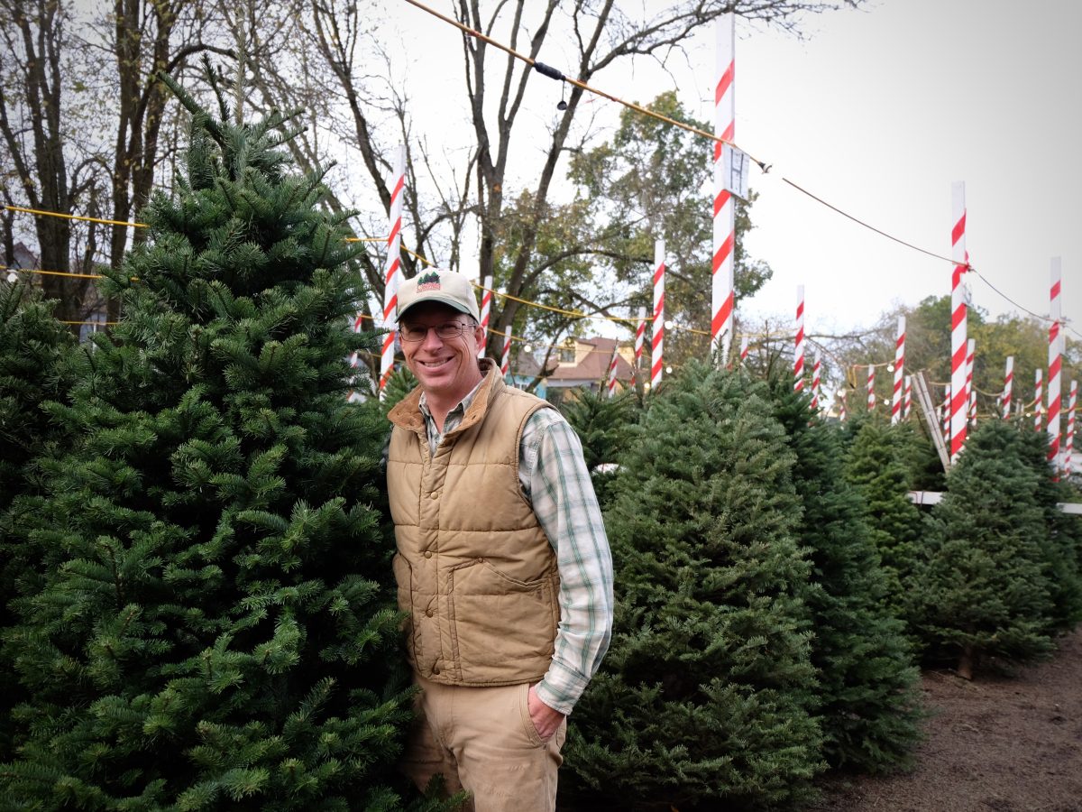 Clancy’s 41-year-old Christmas tree lot is a tradition on a clock