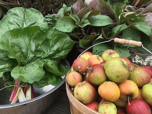 A metal bowl of leafy greens next to a basket of red and green apples.