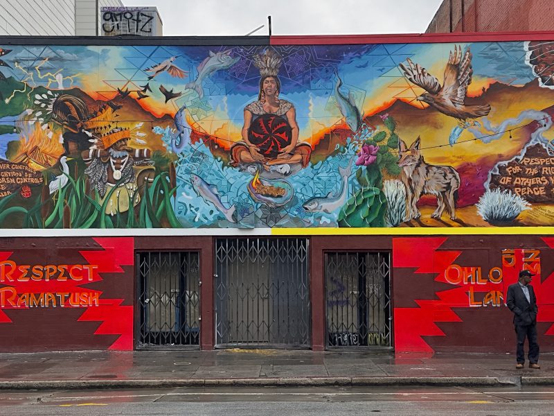 Colorful mural featuring indigenous themes and animals, with text advocating for respect and native rights. A person stands nearby.