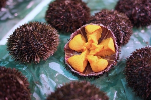 Sea urchins on a surface, one cut open to reveal bright orange roe inside.