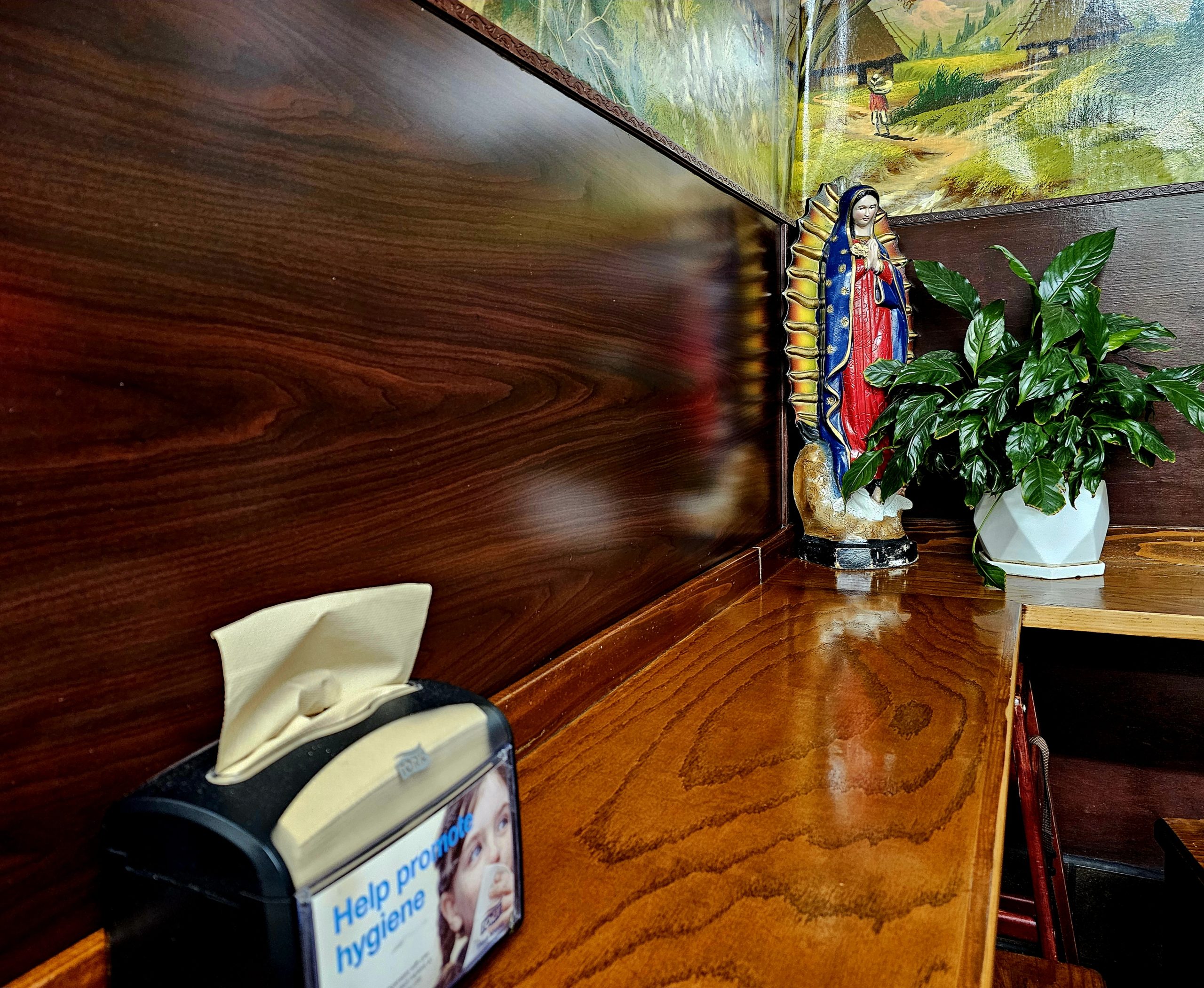 A tissue dispenser and a plant with a Virgin Mary statue are placed on a wooden counter against a mural wall.
