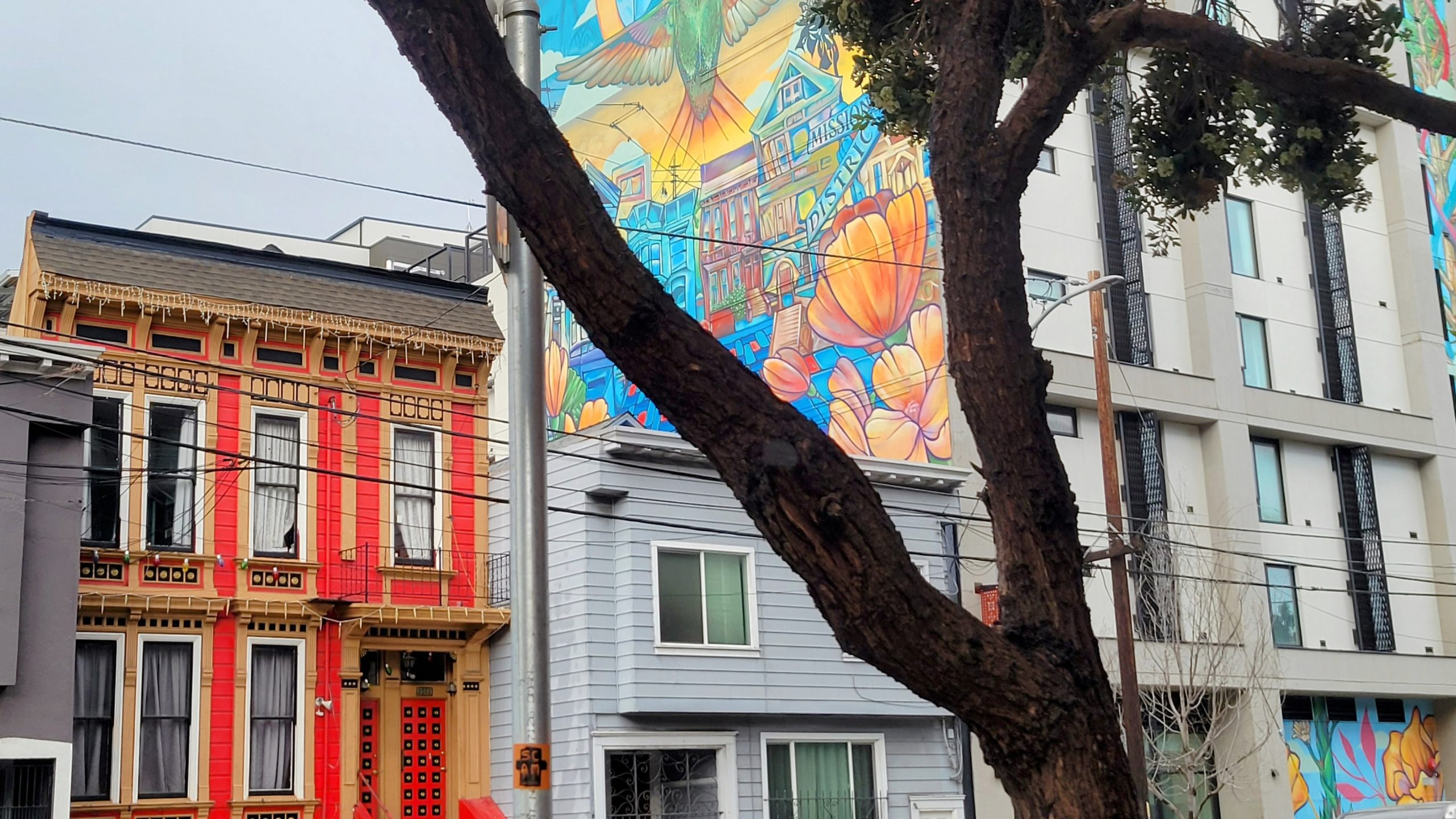 Street view featuring colorful murals on buildings, with a prominent tree trunk in the foreground.