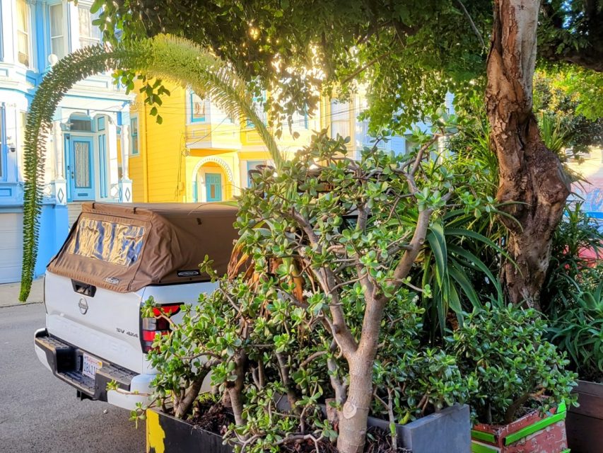 A white truck with a beige canopy is parked on a street. Its bed is filled with various plants. Rows of colorful houses and trees are in the background.