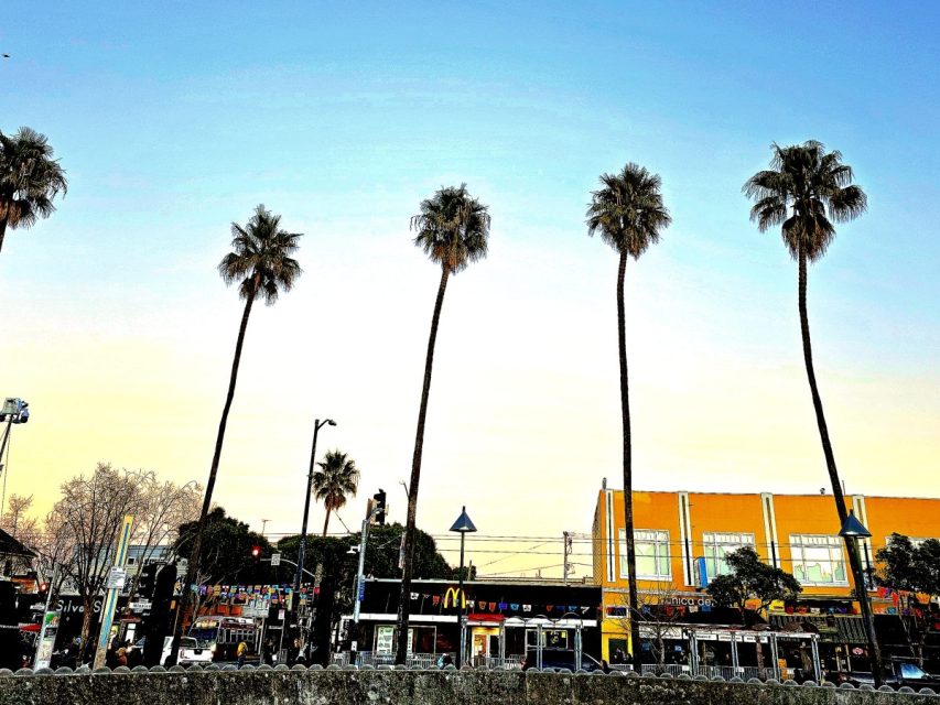 Tall palm trees line a street with shops and businesses at sunset.