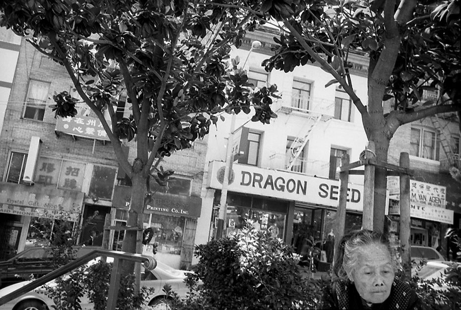 Elderly woman sitting under trees in an urban area with buildings in the background, including a sign for "Dragon Seed.