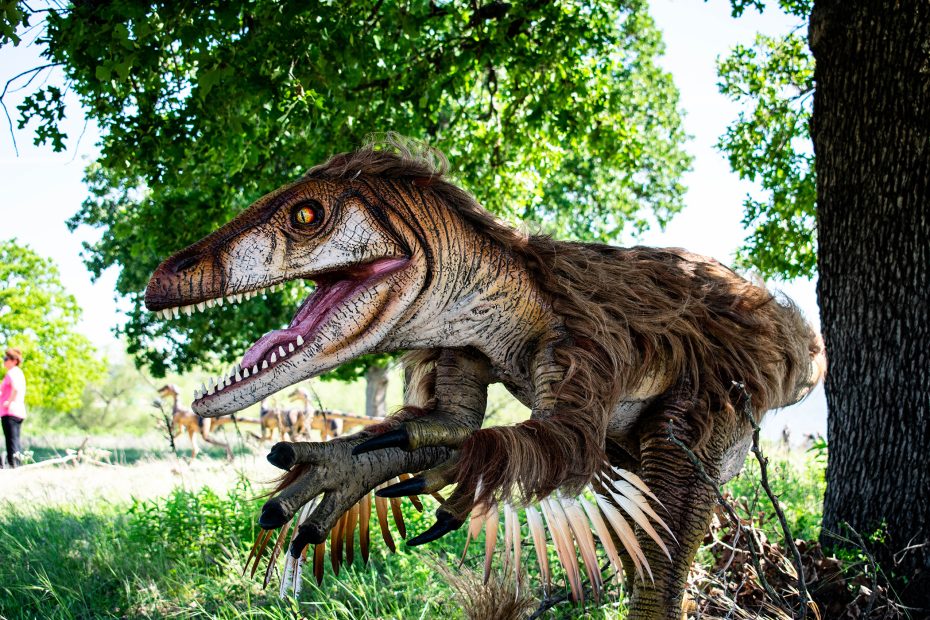 Amid trees and greenery, a realistic dinosaur model with feathers and sharp teeth stands proudly, evoking the awe-inspiring exhibits often found in museums. A person can be seen in the background, adding scale to this lifelike prehistoric scene.