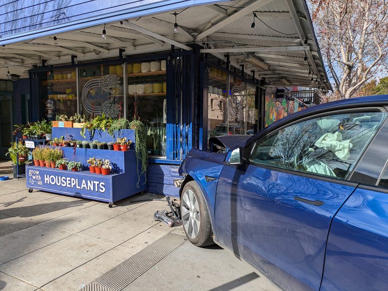 A blue car has crashed into the corner of a plant shop. Houseplants displayed outside are undisturbed. Airbags are deployed inside the vehicle.