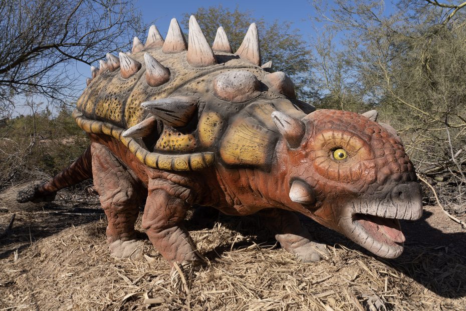 A realistic sculpture of an armored dinosaur with spikes and a long tail stands impressively outdoors among dry plants and twigs under a clear blue sky, reminiscent of exhibits you'd find in the finest museums.
