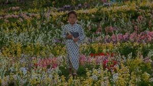A child in traditional clothing walks through a field of colorful flowers.