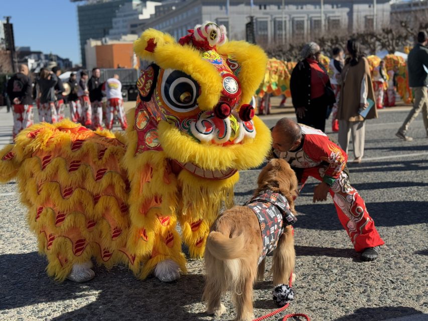A lion dancer in a yellow costume interacts with a golden retriever in a crowded outdoor area.