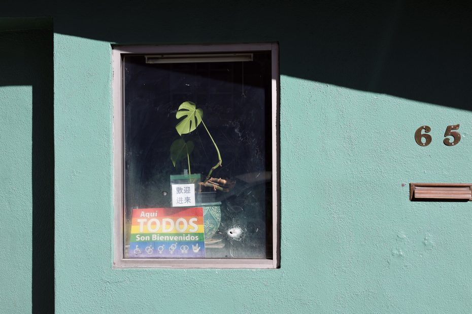 A window adorned with a vibrant plant and a sign reading "Aquí Todos Son Bienvenidos," alongside diverse gender symbols, stands against the serene green wall of house number 65—shooting warmth and inclusivity into the neighborhood.