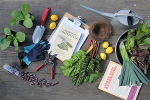 Gardening tools, plants, gloves, books, lemons, and a bird's nest are arranged on a wooden surface.