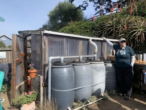A person stands next to a rainwater harvesting system with four large barrels and a sloped roof, surrounded by plants and a wooden structure.