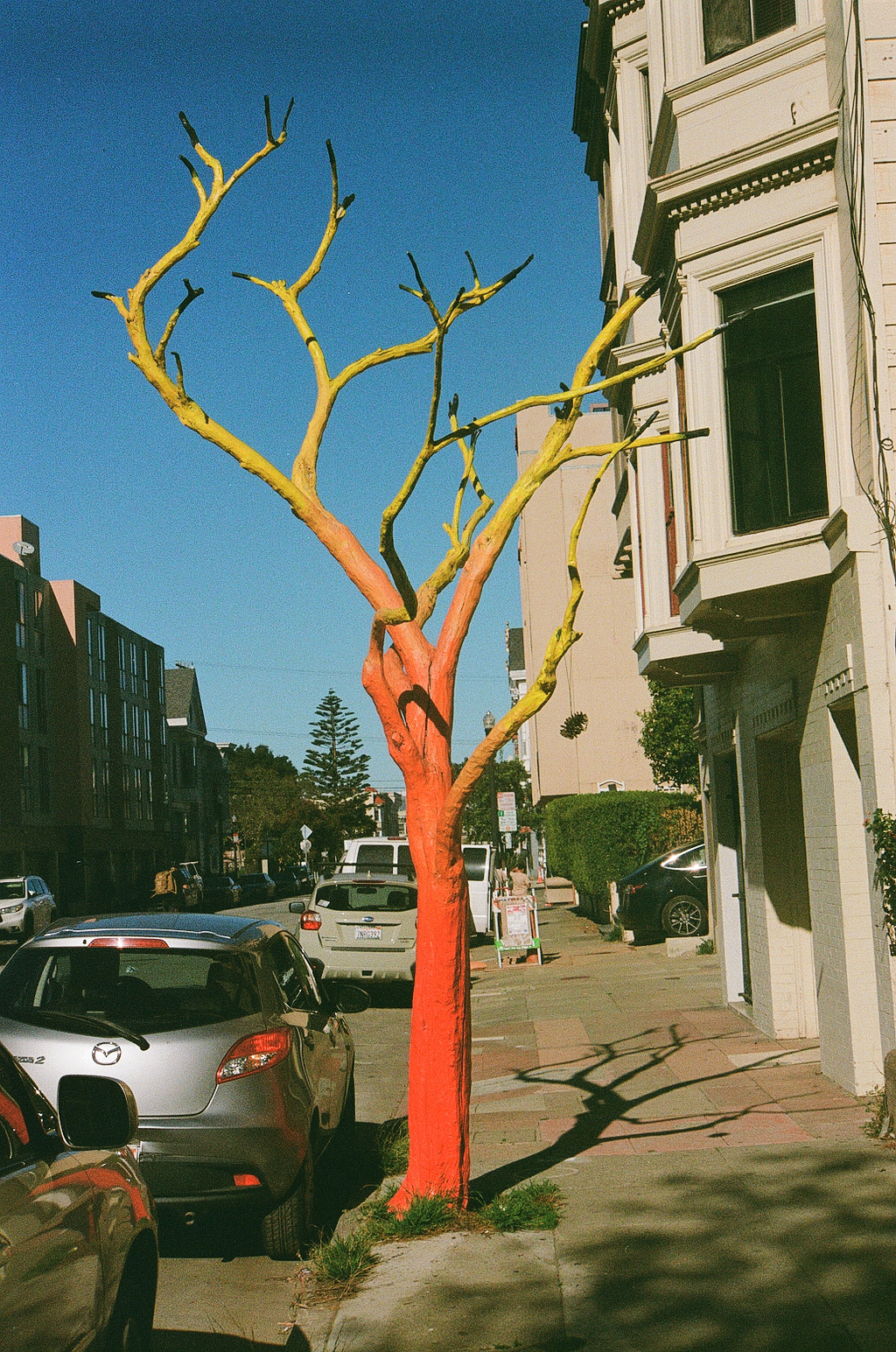 A tree with its branches painted yellow and trunk painted orange stands on a city sidewalk, surrounded by parked cars and buildings.