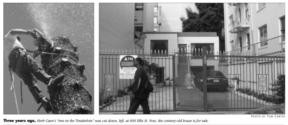 Left: A person cutting a tree with a chainsaw. Right: A person walking past a gated building labeled "ATR Colonia Mia Homes.