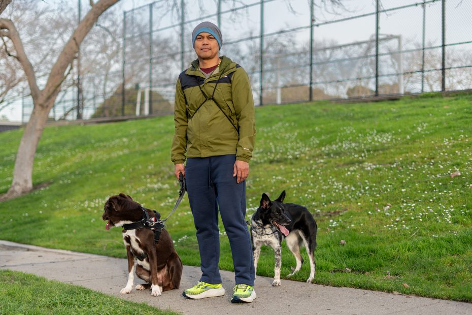 Person in a green jacket and beanie standing on a path with two dogs, one large and one medium, on a grassy area with a fence in the background.