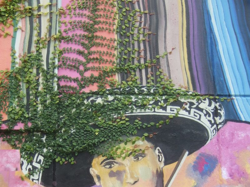 Mural of a person in a sombrero playing a violin, with ivy growing over the painting. The background features colorful stripes.