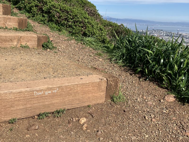 Dirt path with wooden steps on a hillside, featuring a motivational message,"Don't give up!" etched on one step; city and sky visible in the background.