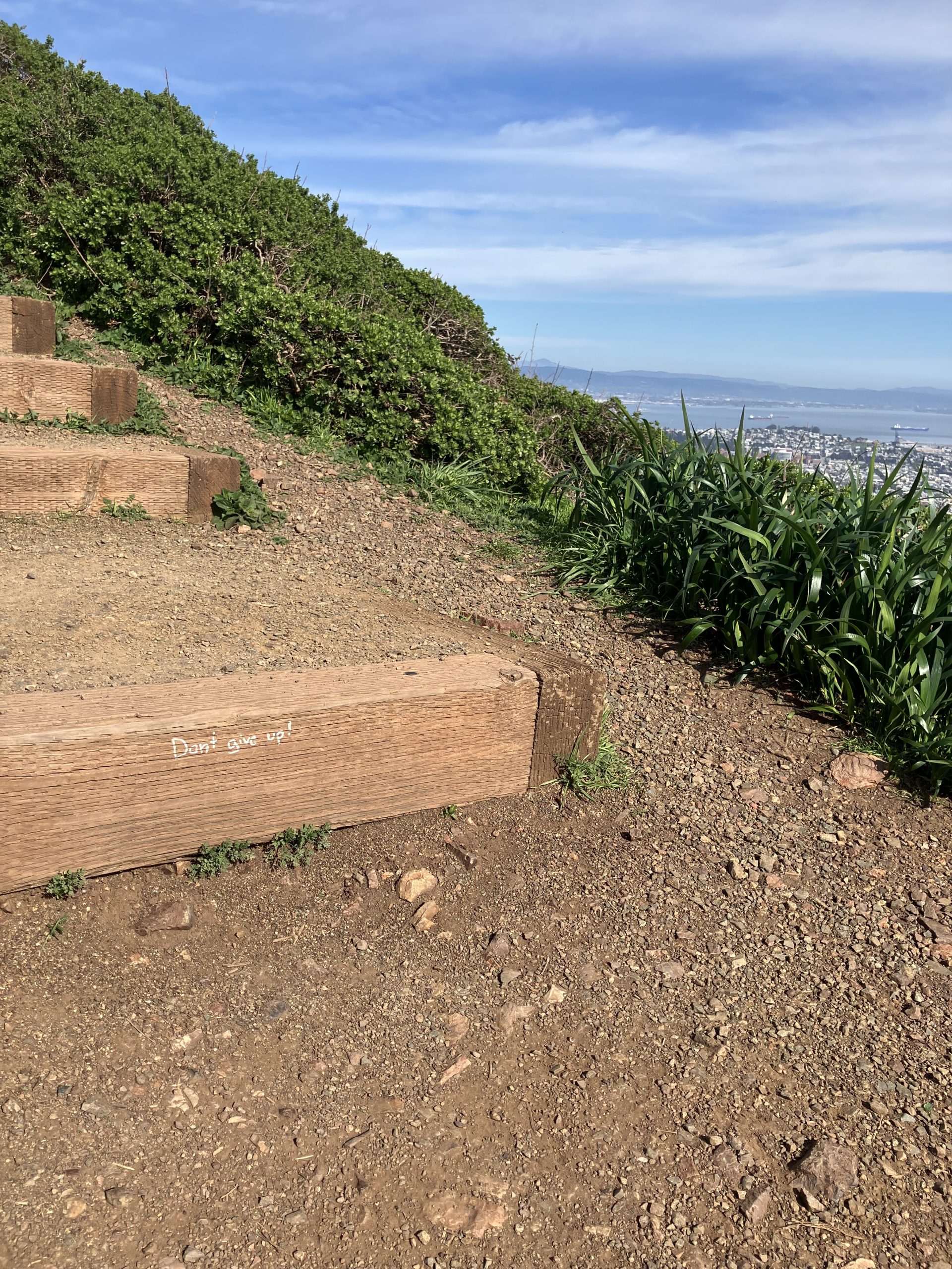 Dirt path with wooden steps on a hillside, featuring a motivational message,"Don't give up!" etched on one step; city and sky visible in the background.