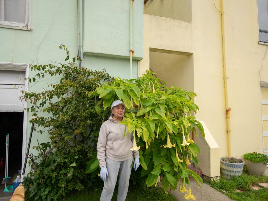A woman in gardening attire stands beside a tall plant with large leaves and yellow flowers, in front of a pastel-colored building.