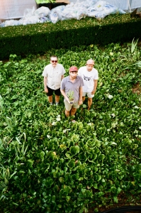 Three people stand in a lush green garden, looking up at the camera.