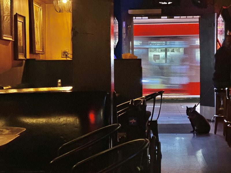 Interior of a dimly lit bar with empty tables and chairs. A dog sits near the entrance, looking outside. A blurred bus passes by the door.