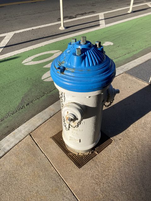 A blue and gray fire hydrant is located on a sidewalk beside a green bike lane.