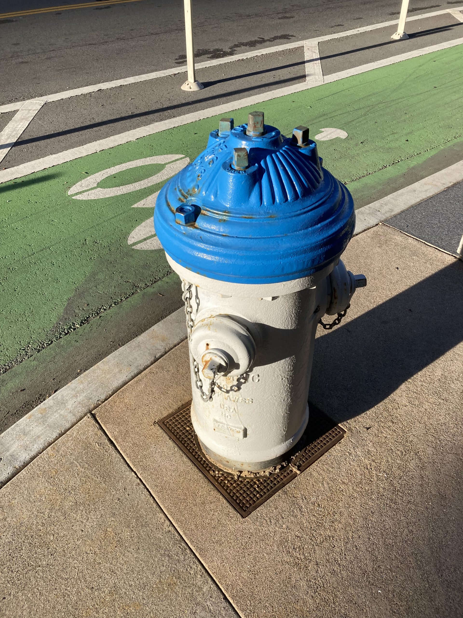 A blue and white fire hydrant with metal chains is situated on a sidewalk near a green bike lane.