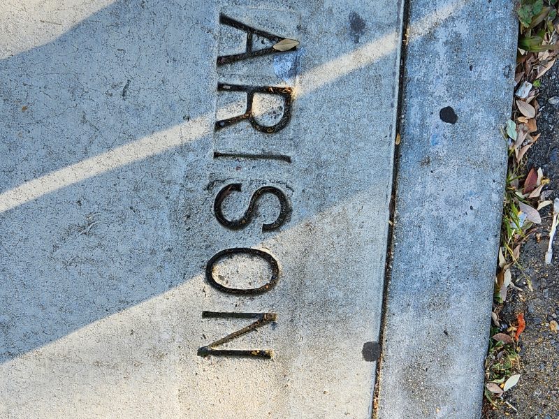 The word "HARISON" is engraved on a concrete sidewalk, bordered by a patch of curb painted red with yellow lettering. Leaves and twigs are scattered around.