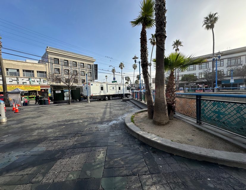 Urban scene with three palm trees, a plaza, and parked vehicles including a large truck. Buildings and a partially visible market stall are in the background. Clear sky overhead.