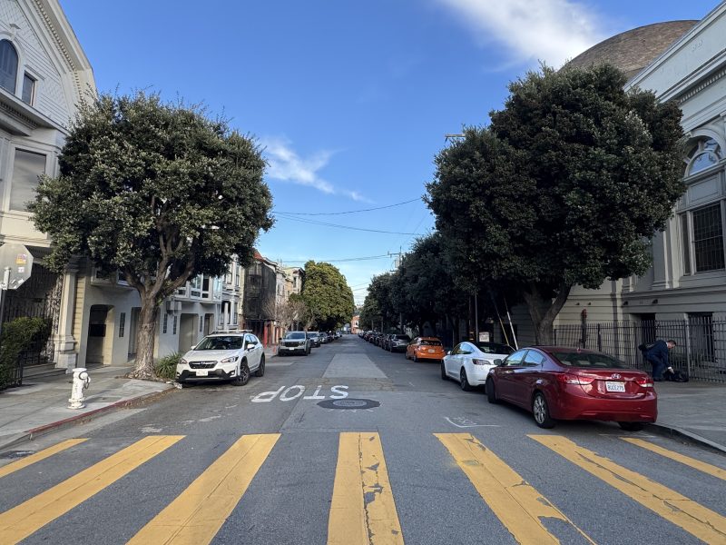 An eastern view of Cumberland Street on Tuesday March 4, 2025. Photo by Oscar Palma.