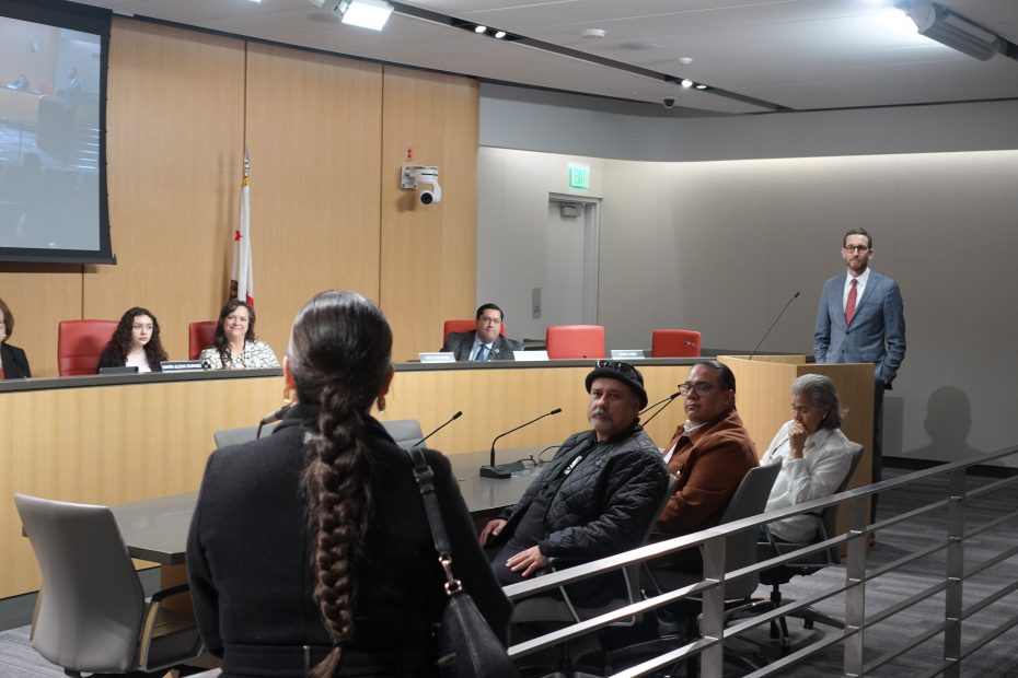 A senior Chinese woman speaks in favor of SB 276 in front of the state's Local Government Committee on Wednesday March 19, 2025. Photo by Oscar Palma.