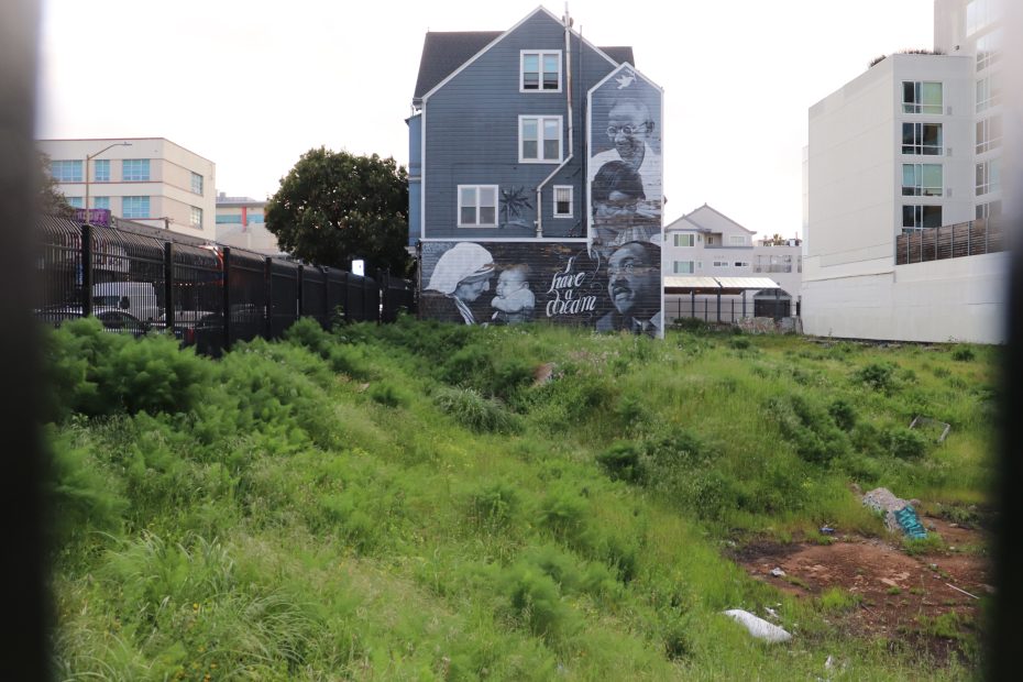 Blue house with large black-and-white mural on the side, behind a grassy lot and black fence. Urban buildings are visible in the background.