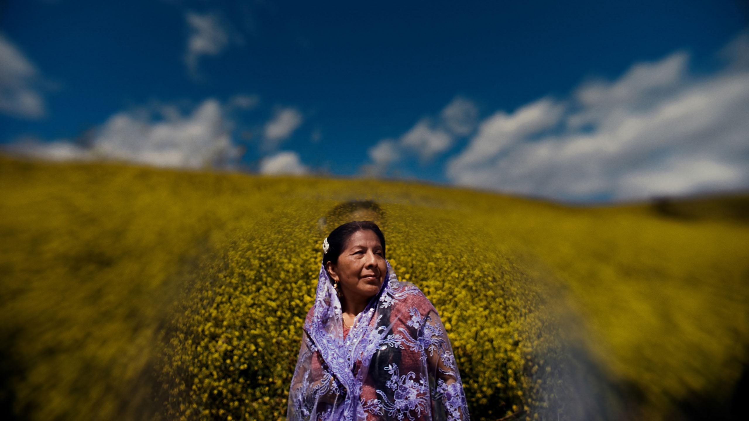 Person standing in a field of yellow flowers under a blue sky, wearing a purple-patterned garment.