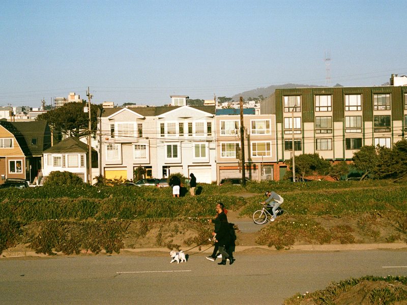 People walk dogs and ride bicycles along a street with rows of houses and apartment buildings in the background on a clear day.