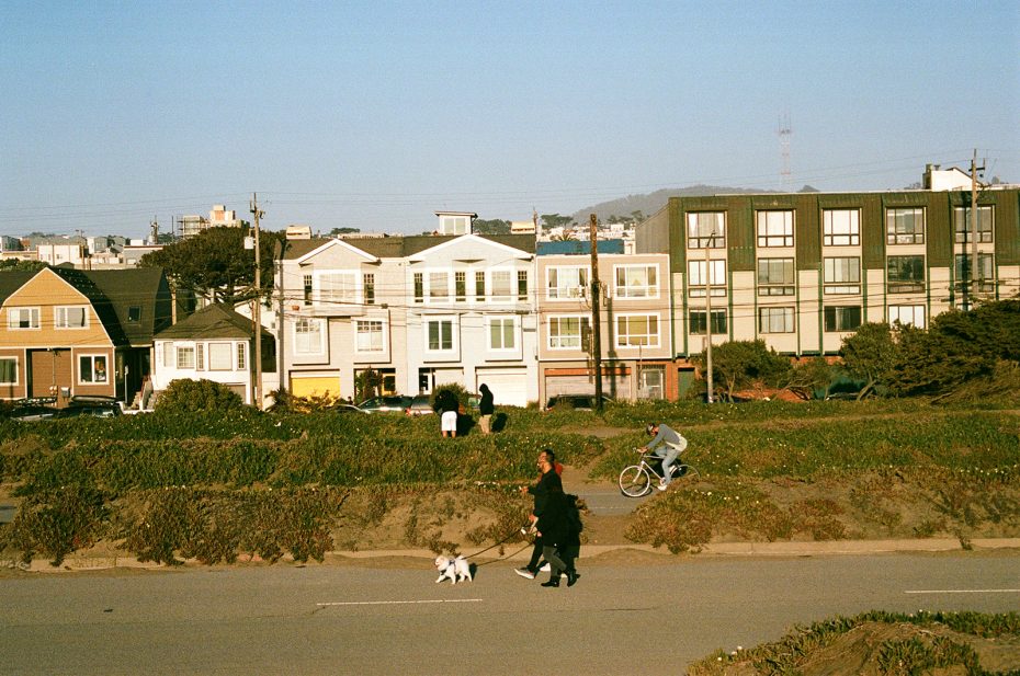 People walk dogs and ride bicycles along a street with rows of houses and apartment buildings in the background on a clear day.