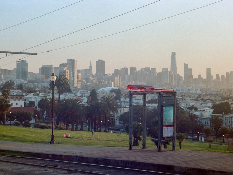 View of a park with scattered people relaxing, palm trees, and a city skyline with skyscrapers in the background during a hazy day.