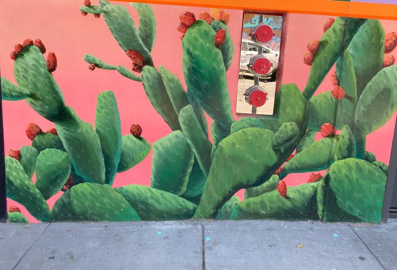 A mural of green cacti with red flowers is painted on a pink wall; a fire department connection and its reflection are visible in the center.
