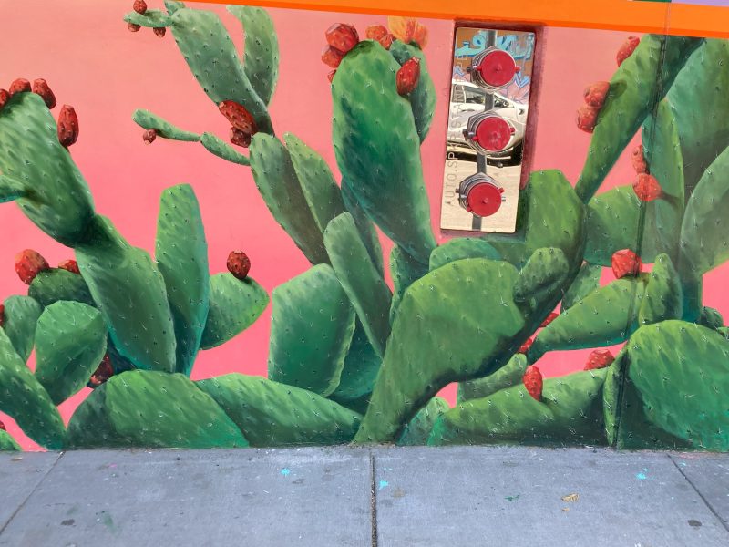 A mural of green cacti with red flowers is painted on a pink wall; a fire department connection and its reflection are visible in the center.
