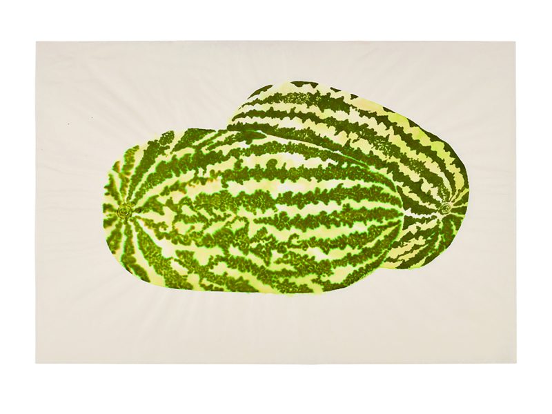 Two large watermelons with green and light green striped patterns on a plain white background.