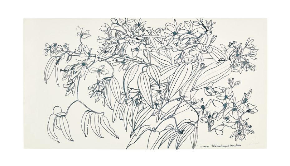 Line drawing of a plant with long leaves and clusters of small flowers. The artwork is detailed, featuring intricate curves and intersections.