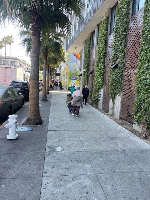A city sidewalk lined with palm trees and a building covered in green ivy on 16th Street; a few people are walking in the distance.