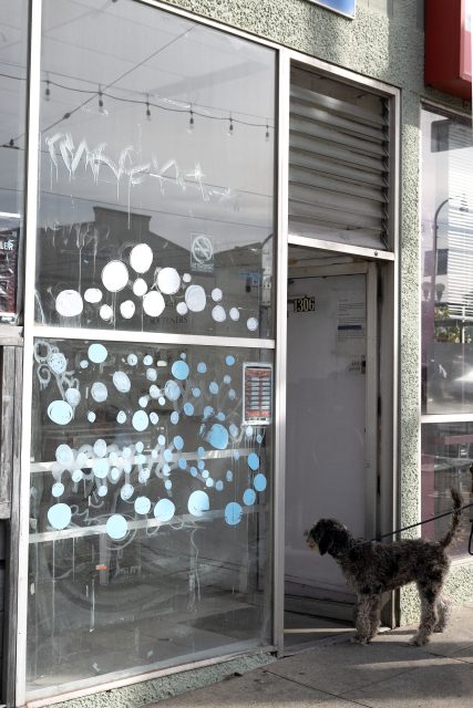A dog on a leash stands in front of a shop entrance with a glass window decorated with white and blue circles.