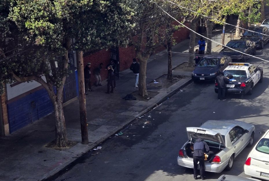 Police officers engage with individuals on a street lined with parked patrol cars as part of a plaza clean-up effort. Nearby, a few people stand by the sidewalk under the shade of trees, observing the scene.