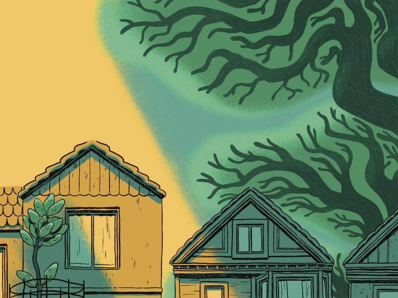Illustration of two houses partly illuminated by sunlight, with large, dark tree branches casting shadows over the scene from the upper right corner.