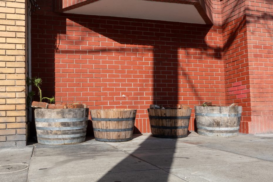 Four wooden barrels are arranged on a sidewalk against a red brick wall, under sunlight.